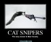 cat_snipers.jpg